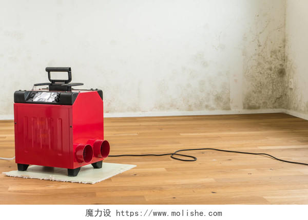 红色除湿器在一个空的公寓房间里墙上有霉菌和有毒的霉菌
